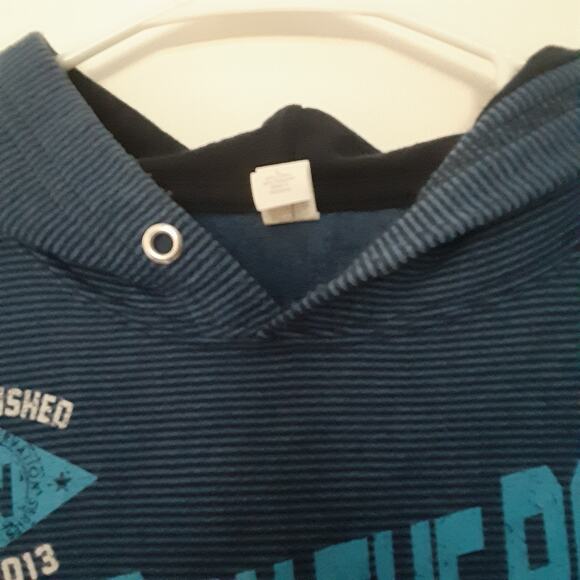 Pigeon Forge Tennessee Hoodie Mens L Blue Goats On The Roof Striped - Picture 3 of 8